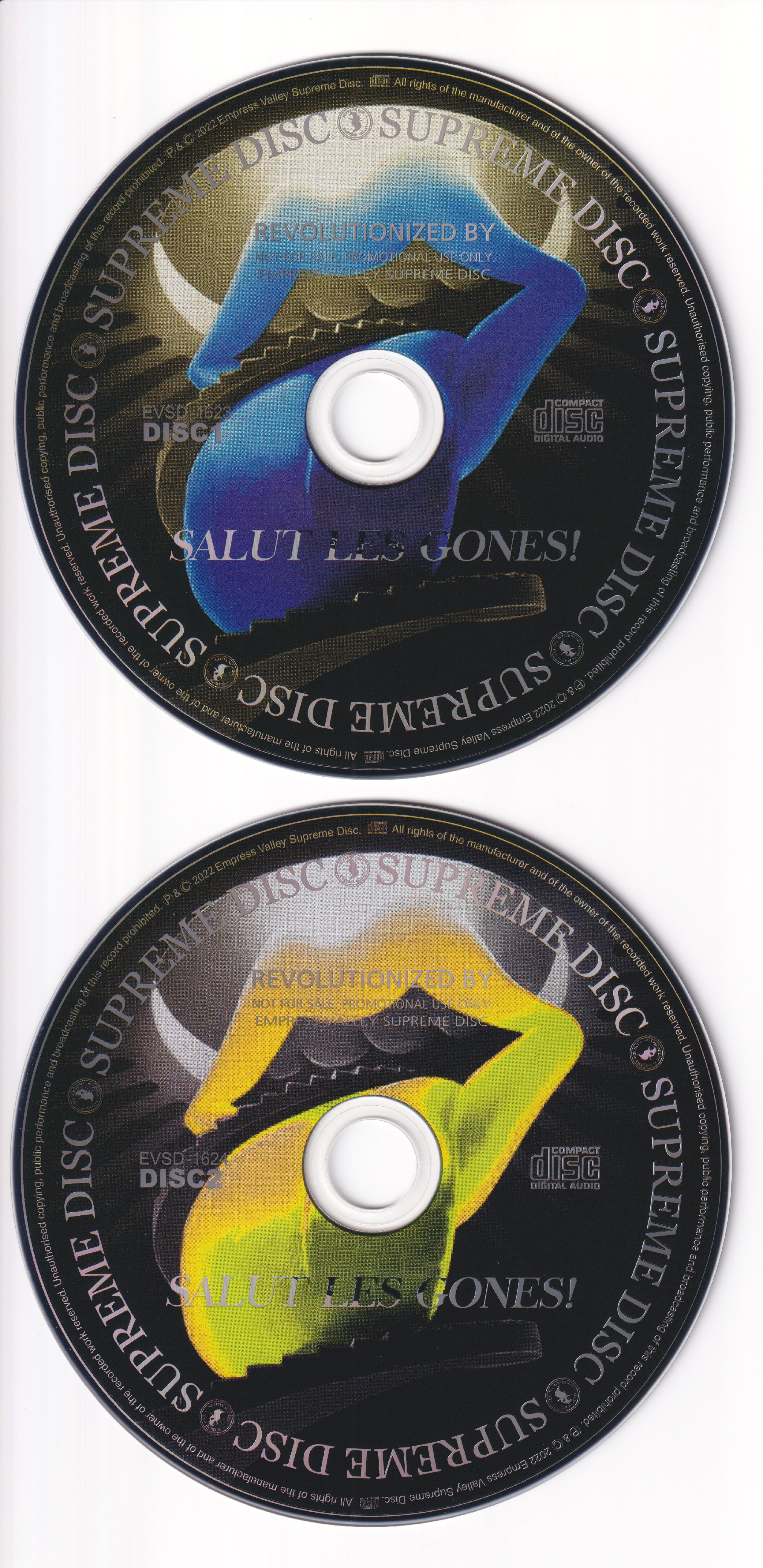 RollingStones2022-07-19GroupamaStadiumDecinesCharpieuFrance (1).jpg